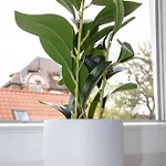 Augsburgliving - Business- Und Ferienapartments Apartment